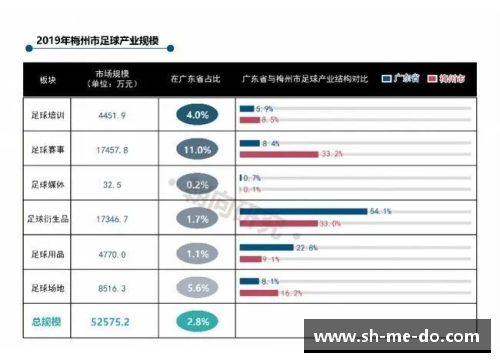 梅州足球：崛起与传承