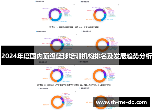 2024年度国内顶级篮球培训机构排名及发展趋势分析